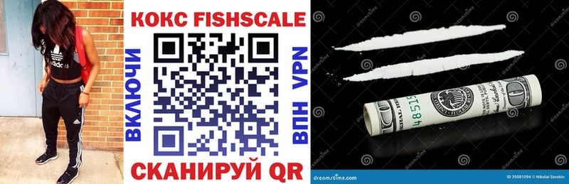 mega как войти  Западная Двина  Cocaine Fish Scale 