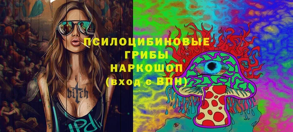мет Пестово