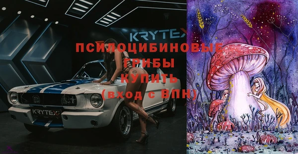 прущие грибы Алексин