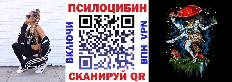 Галлюциногенные грибы Cubensis  Западная Двина 