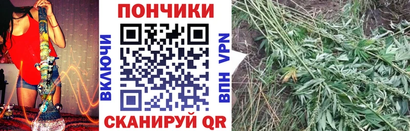 МАРИХУАНА планчик  Западная Двина 